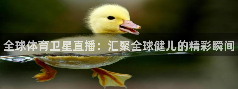 五星体育乒乓球直播：全球体育卫星直播：汇聚全球健儿的精彩瞬间