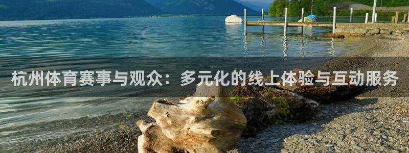 五星体育频道：杭州体育赛事与观众：多元化的线上体验与互动服务