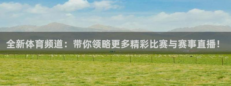 上海五星体育频道回看