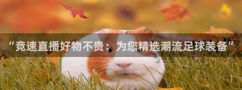 五星体育广播